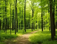 峰度控股骆国峰